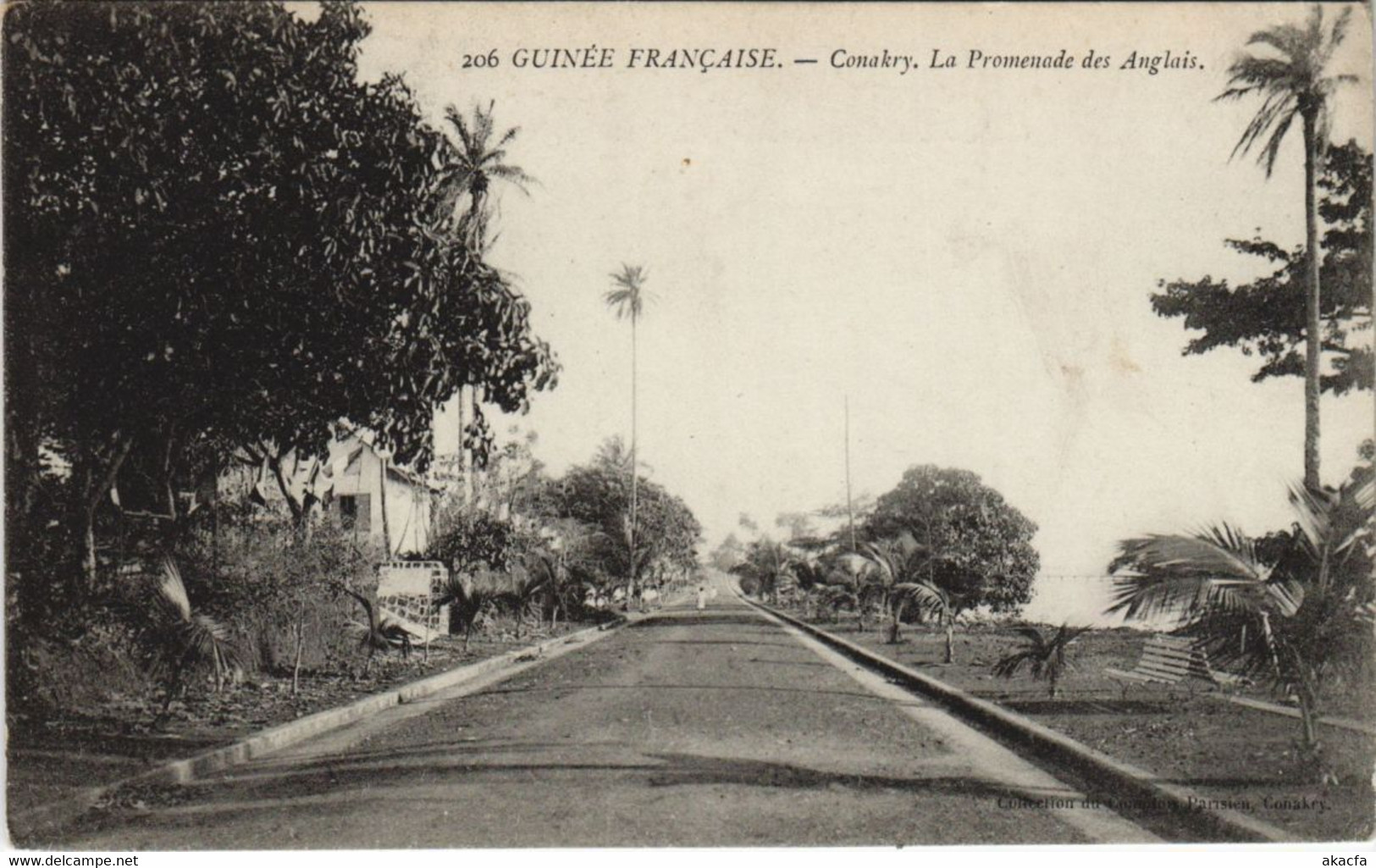 PC CONAKRY PROMENADE DES ANGLAIS FRENCH GUINEA (a28703) - Guinée Française