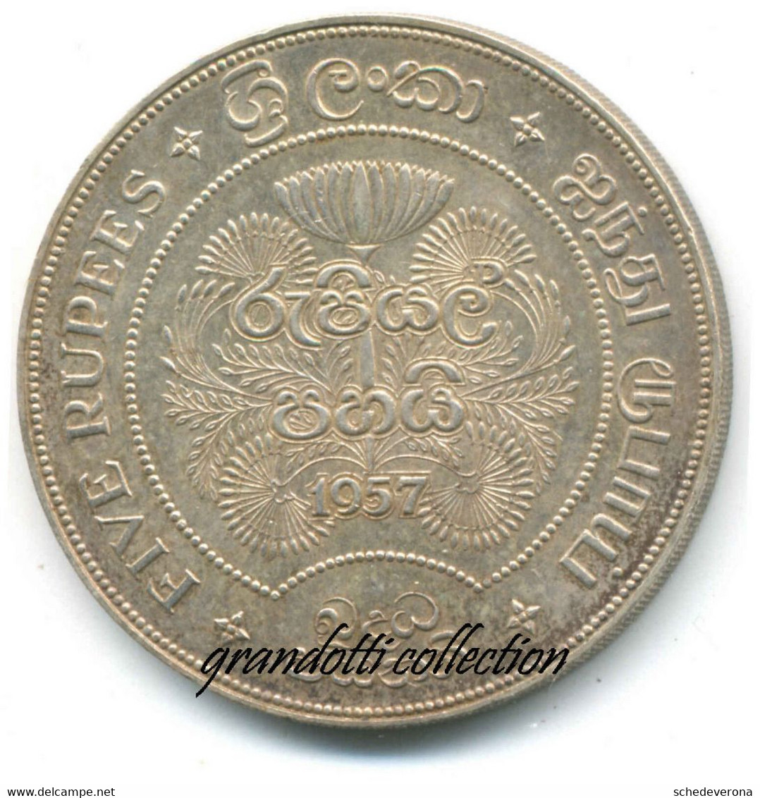 CEYLON FIVE RUPEE 1957 MONETA ARGENTO 2500 NASCITA BUDDISMO - Sonstige – Asien