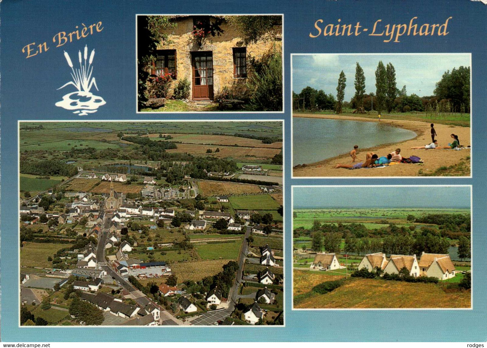 Dep 44 , Cpm SAINT LYPHARD , Le Bourg Au Coeur De La Brière , 4.4439 , Edit. JOS (17530) - Saint-Lyphard