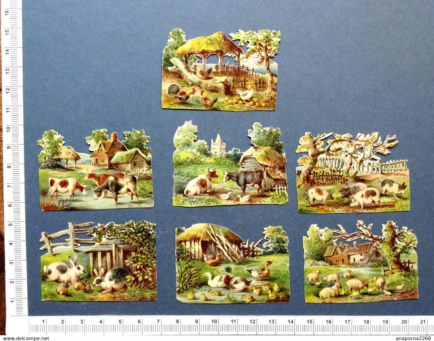 7 PETITS DECOUPIS ....LA BASSE-COUR - Dieren