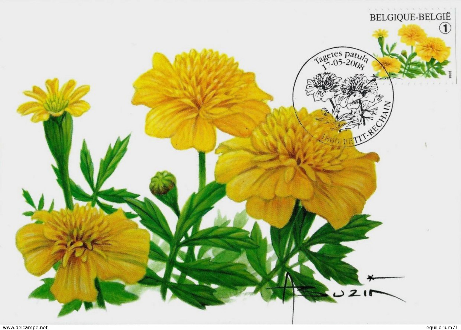 CM/MK° - PETIT-RECHAIN - 3785 - BUZIN - Fleurs / Bloemen / Blumen - Tagete Patula (Kleine Afrikaantje) - 2001-2010