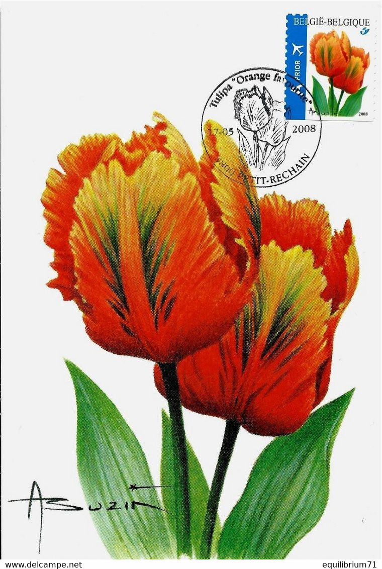 Carte Maximum/Maximum Kaart° - BUZIN - Fleurs / Bloemen / Blumen - Tulipe / Tulp / Tulipa (Orange Favourite) - 2001-2010