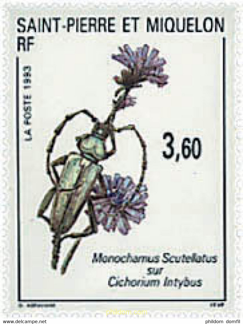 96420 MNH SAN PEDRO Y MIQUELON 1993 FAUNA Y FLORA - Oblitérés