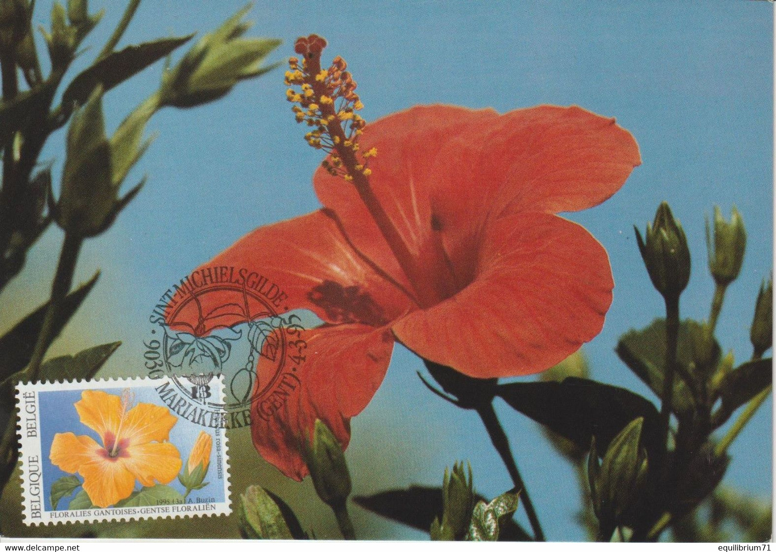 Carte Maximum/Maximum Kaart° - 2589 - BUZIN - Fleurs / Bloemen - Hibiscus Rosa-sinensis - Rose De Chine/Chinese Roos - 1991-2000