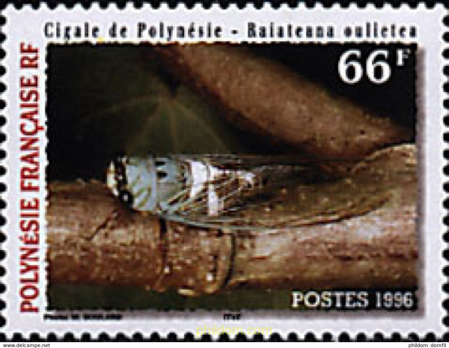 43657 MNH POLINESIA FRANCESA 1996 CIGARRA DE POLINESIA - Oblitérés