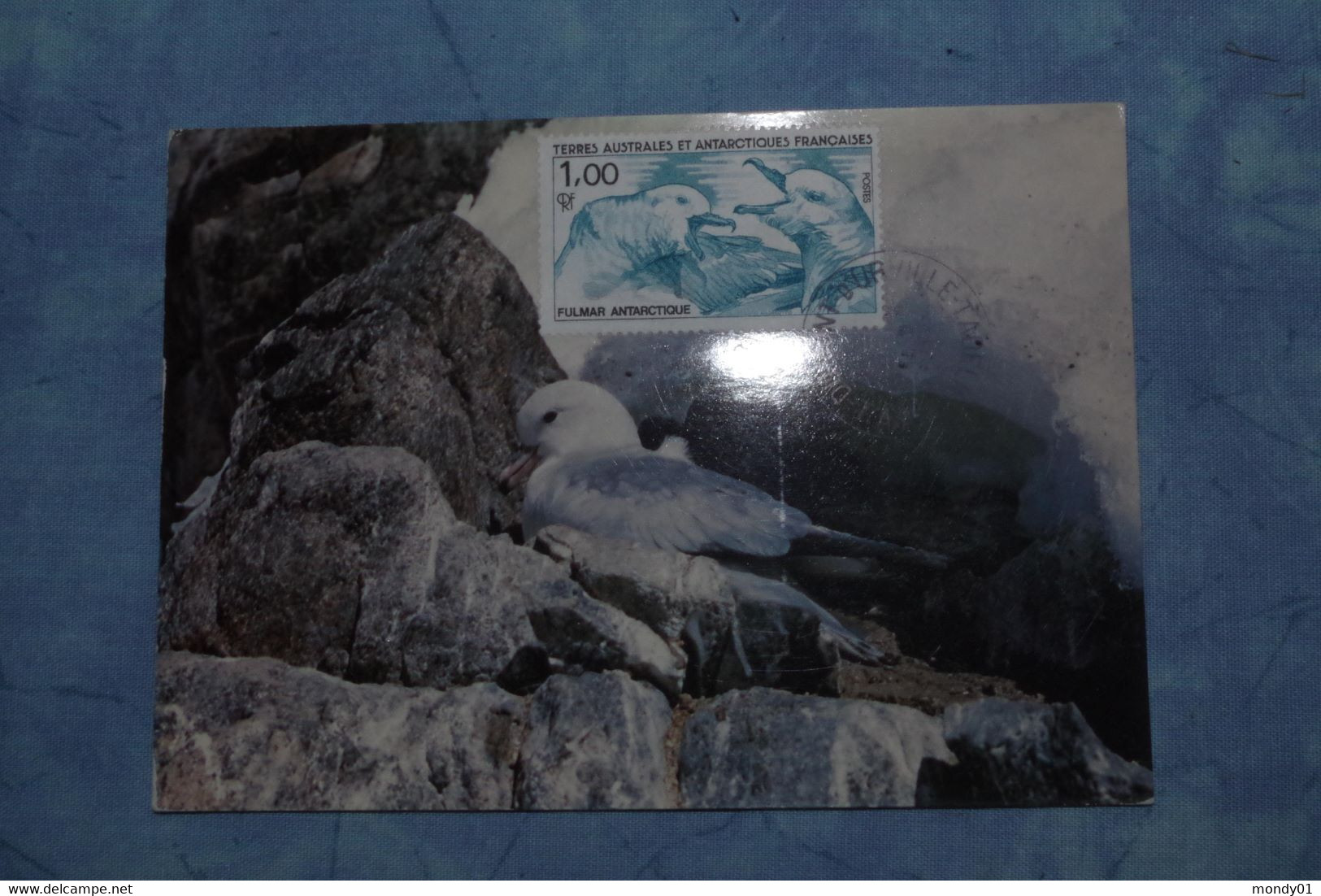 2-730  Antarctique TAAF FAAT Terre Adelie Land CPM Antarctic South Pole Sud Carte Maximum Oiseau Fulmar EPF - Preserve The Polar Regions And Glaciers