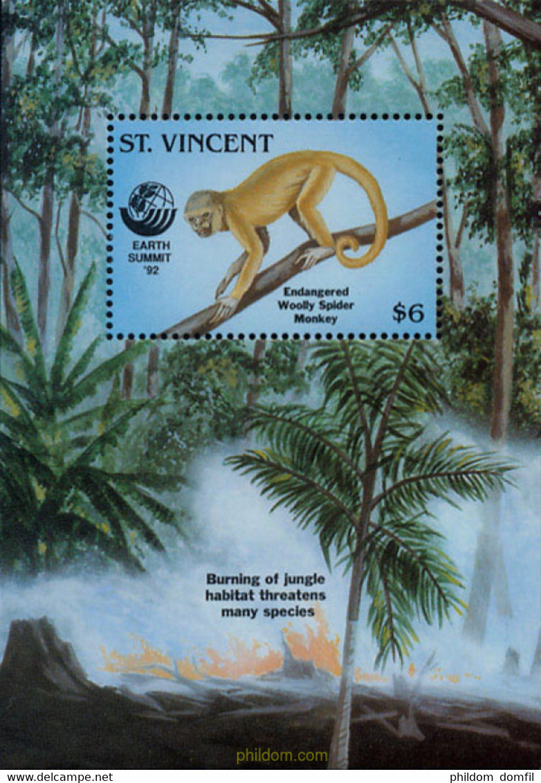 68491 MNH SAN VICENTE 1992 CUMBRE DE LA TIERRA 92 EN RIO DE JANEIRO - Protection De L'environnement & Climat