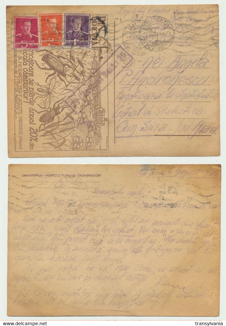 Romania WW2 Aug. 1944 Rare Beetle Mosquito Advertising Postcard Harmful Caterpillars Military Used Censored Buzau - 2. Weltkrieg (Briefe)
