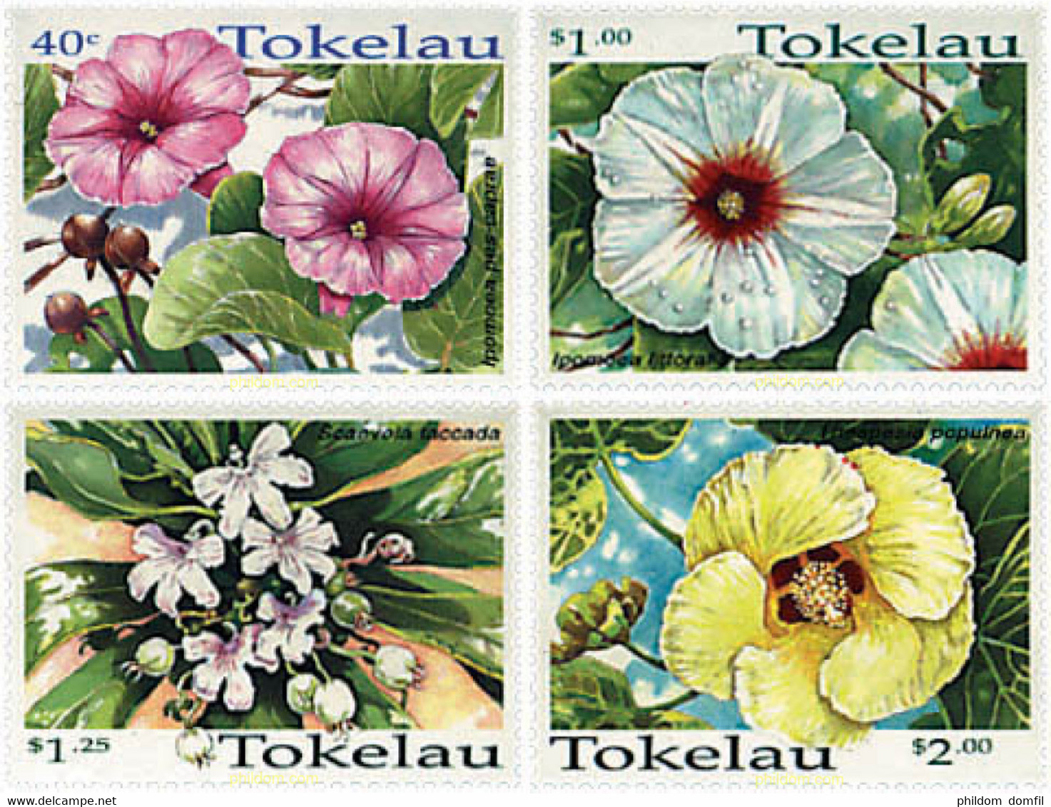 92277 MNH TOKELAU 1998 FLORES TROPICALES - Tokelau