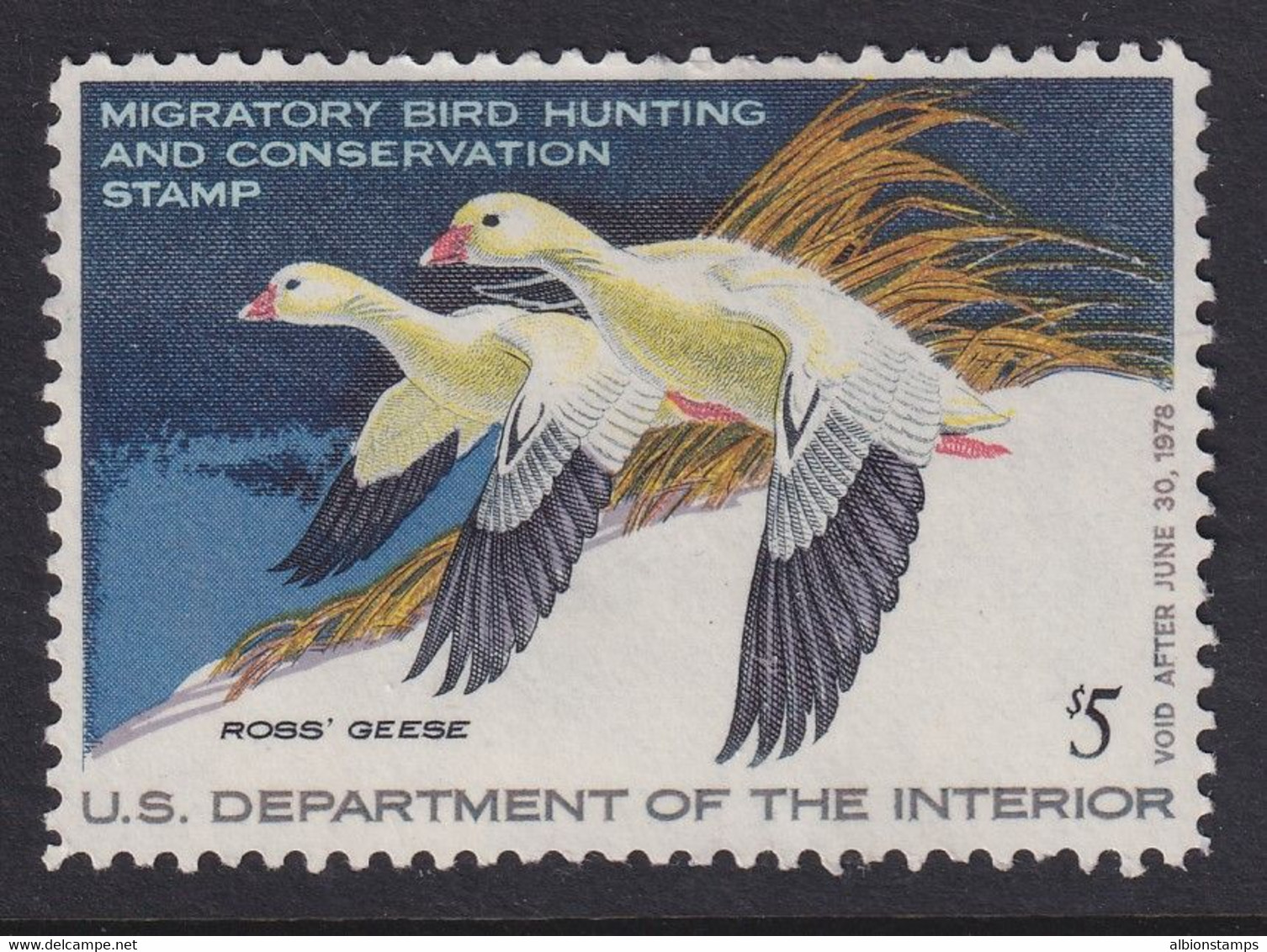 USA, Scott RW44, MNH - Duck Stamps