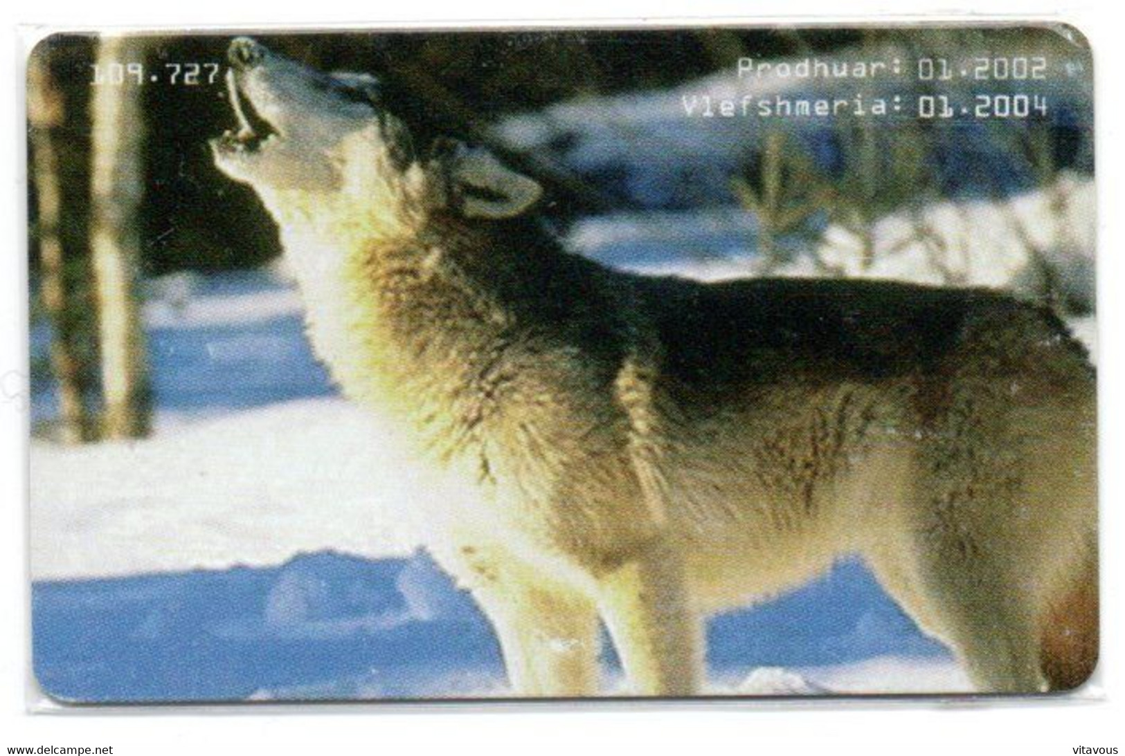 Loup Wolf Lobo Lupo  écureuil Animal Télécarte Albanie Phonecard  (G 896) - Albanien