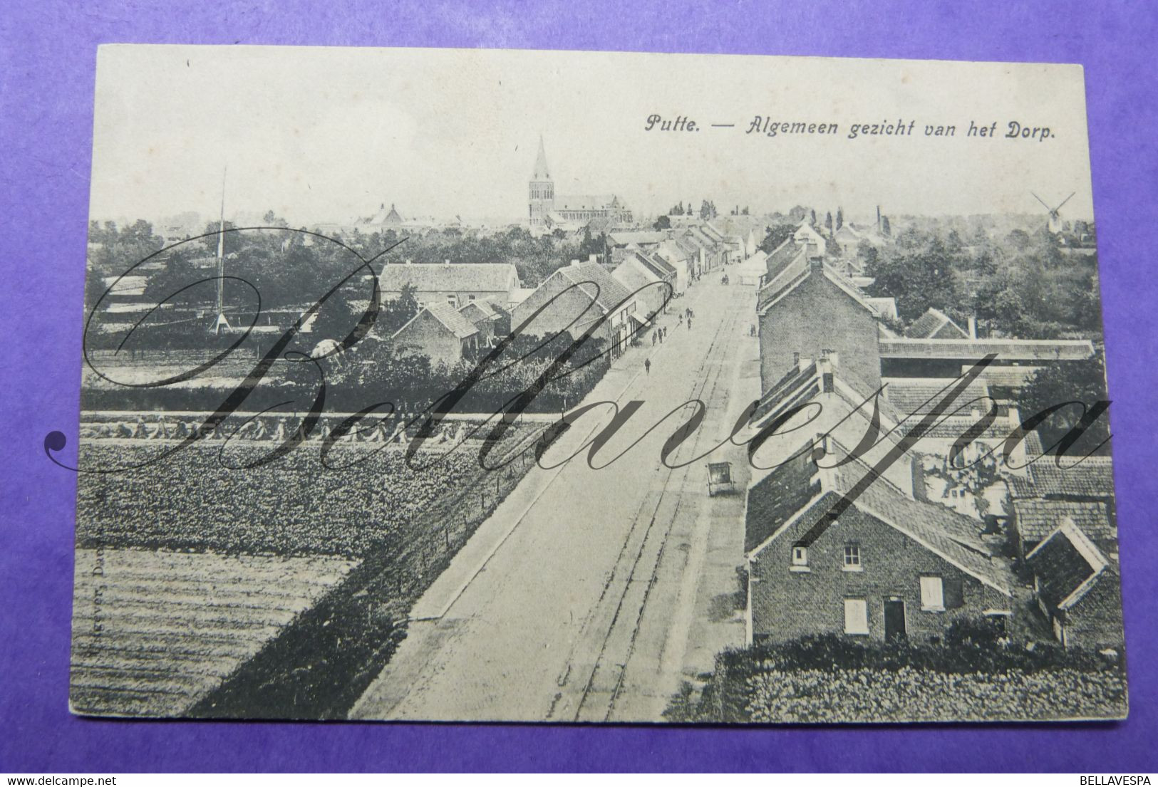 Putte Panorama  Zicht Op  Kerk En Molen - Putte