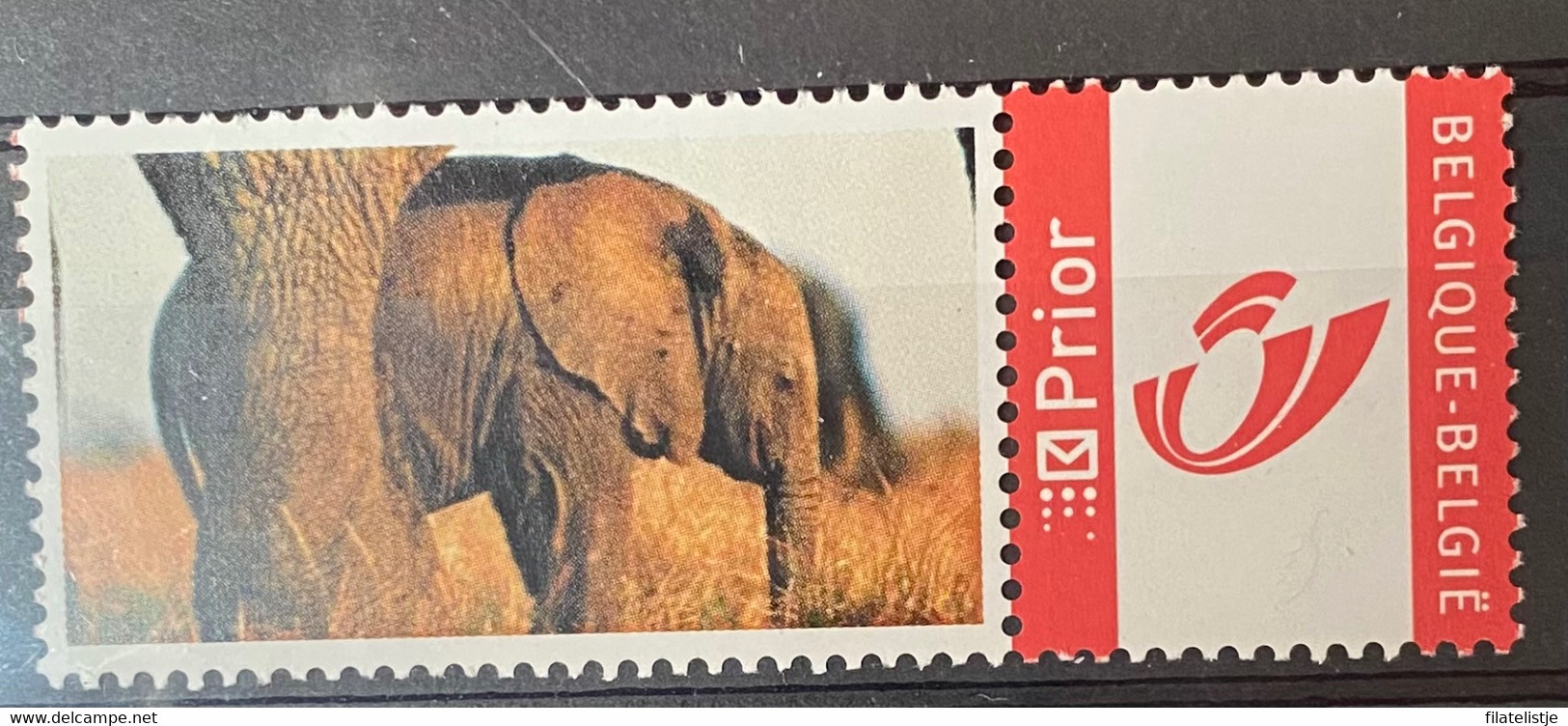 My Stamps De Olifant - Autres & Non Classés