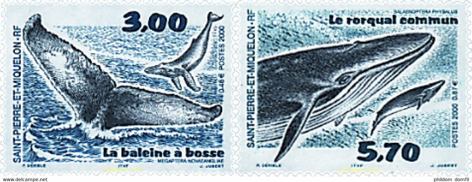 70010 MNH SAN PEDRO Y MIQUELON 2000 CETACEOS - Usados