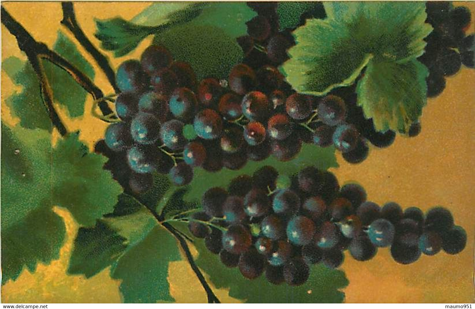 Solderie - Destockage à 1.60€ - ITALIE (illustrateurs) - CPA Vierge NATURE MORTE De SOMASCA (Grappes De Raisin) - Paintings