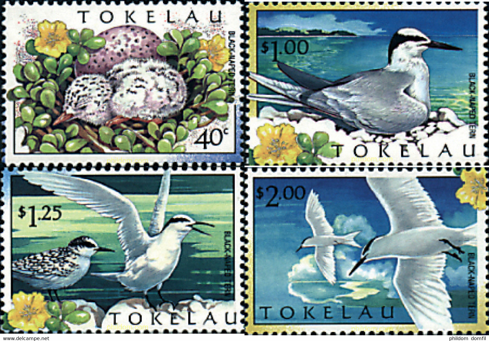 86464 MNH TOKELAU 1999 AVES - Tokelau