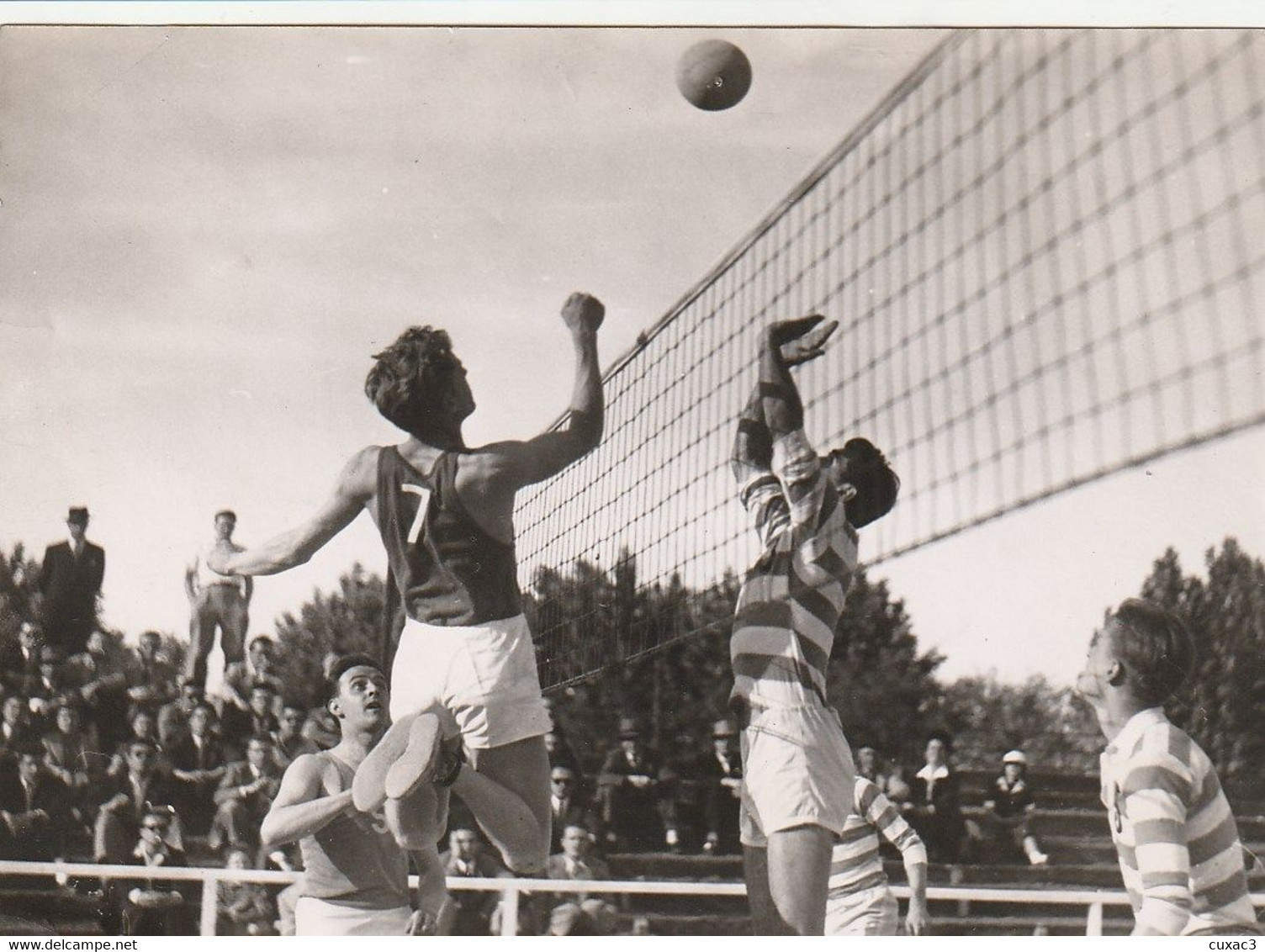 Photo  - 18/13cm  -  Match De Volley - Volleyball