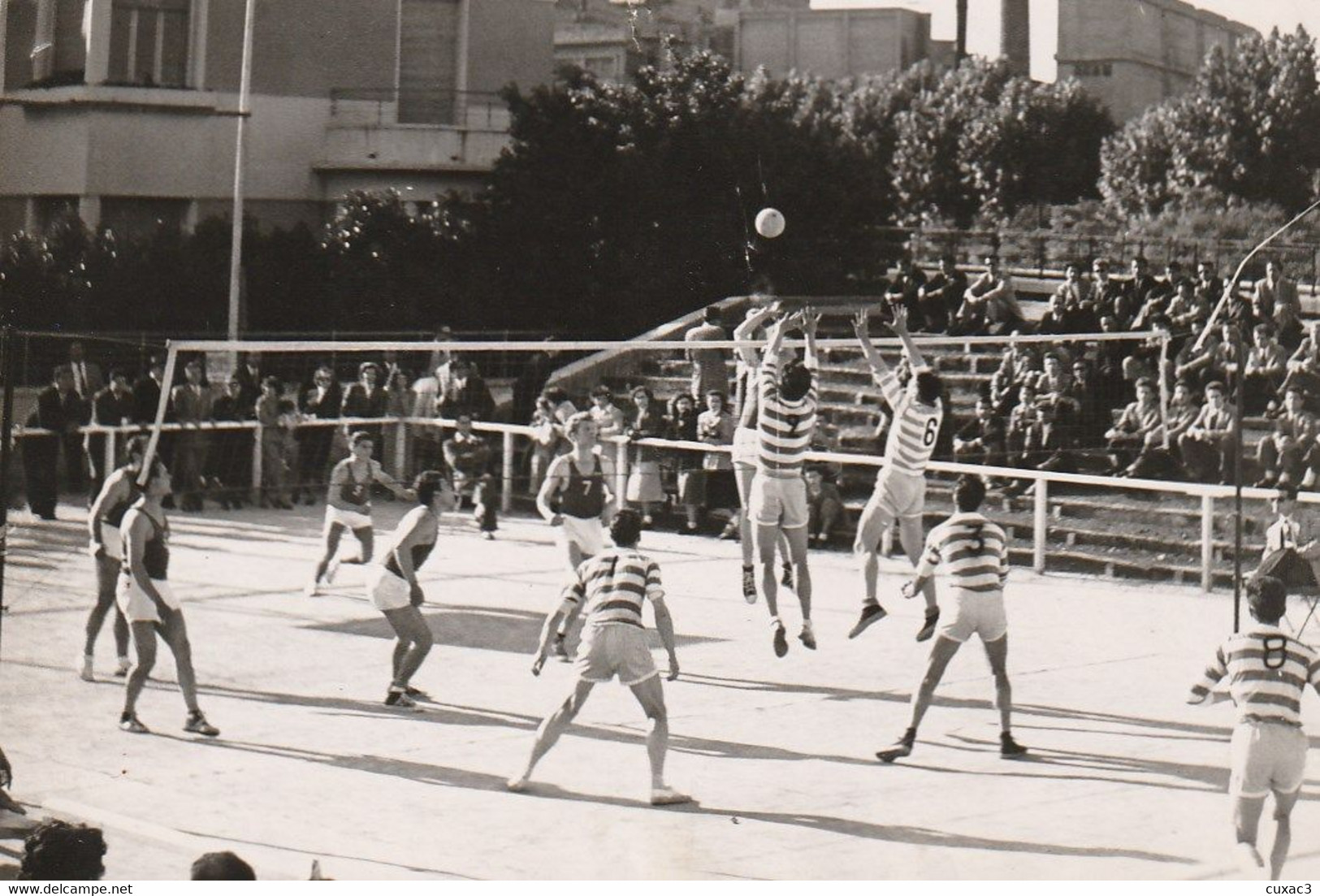 Photo  - 18/13cm  -  Match De Volley - Volleybal