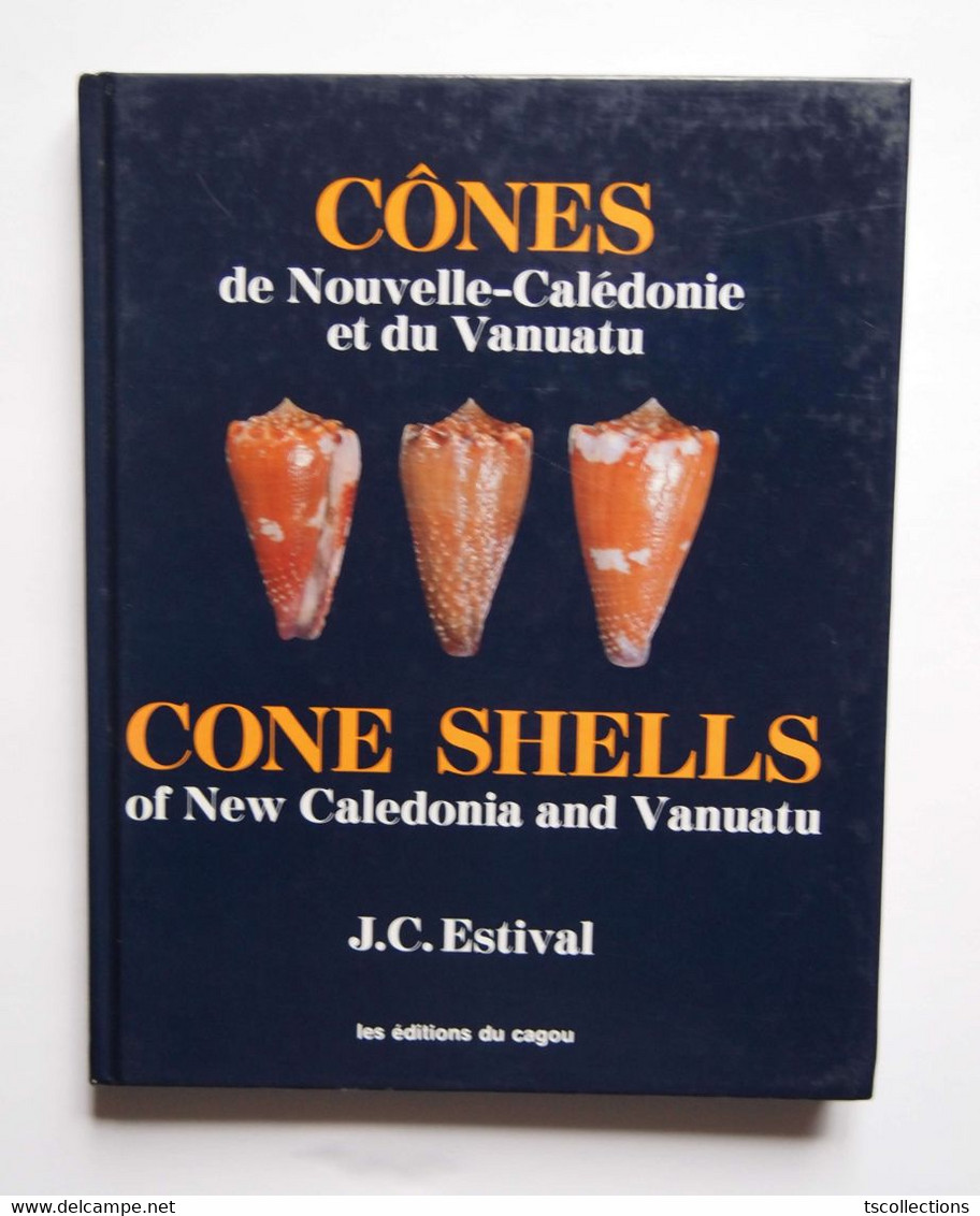 Cones De Nouvelle Calédonie - JC Estival - Coquillages