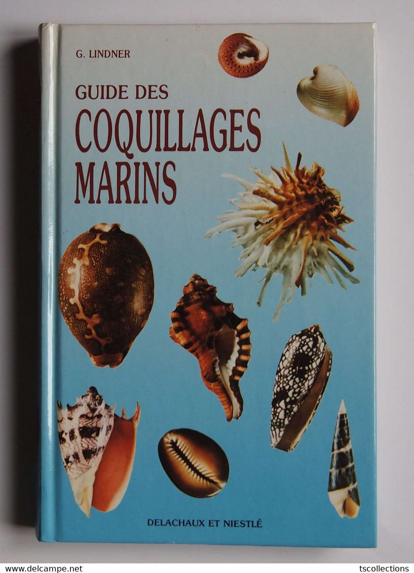 Guide Des Coquillages Marins - Coquillages