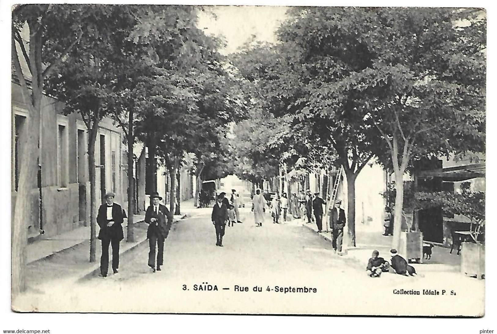 ALGERIE - SAIDA - Rue Du 4 Septembre - Saïda