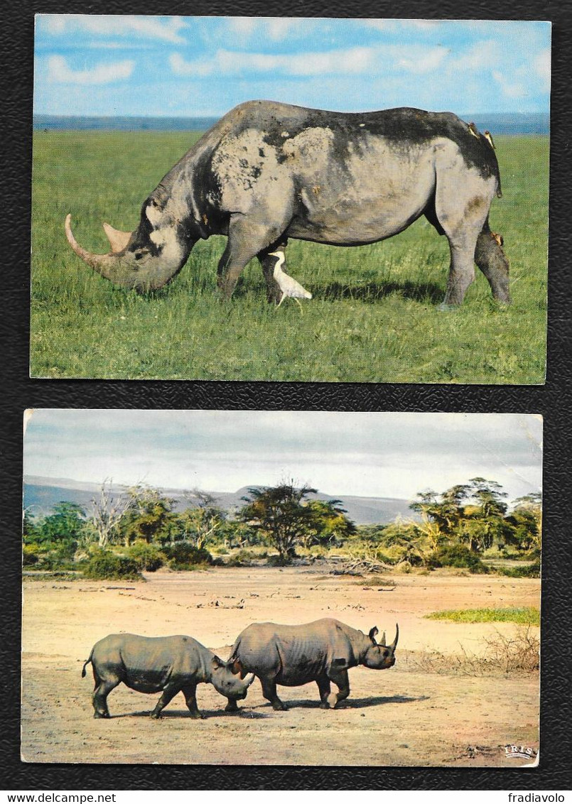 Rhinocéros - Lot 2 CPM Divers - - Rhinozeros