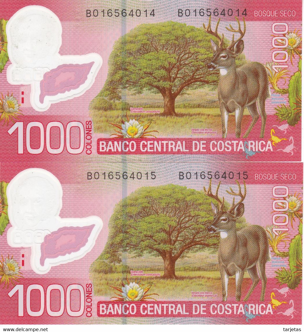 PAREJA CORRELATIVA DE COSTA RICA DE 1000 COLONES DEL AÑO 2013 SIN CIRCULAR (UNC) (CIERVO-DEER)  (BANKNOTE) - Costa Rica
