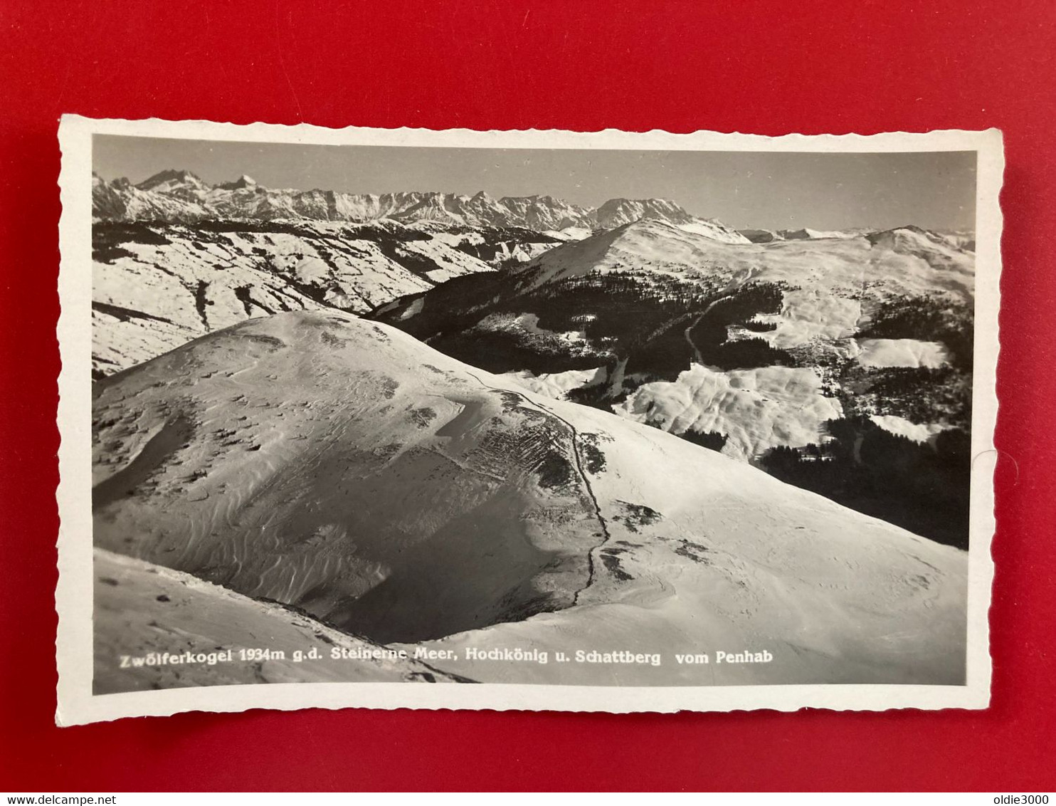 Saalbach Zwölferkogel, Steinerne Meer, Hochkönig, Schattberg 4480 - Saalbach