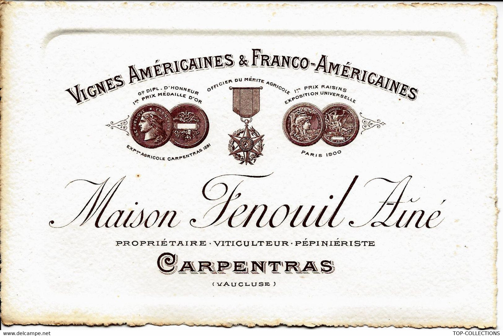 APRES LE PHYLLOXERA  VIGNES AMERICAINES ET FRANCO AMERICAINES Carte Commerciale Fenouil Ainé Carpentras Vaucluse B.E. - 1950 - ...