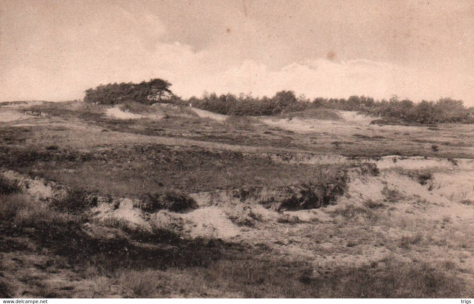 Laren - Heide - Laren (NH)