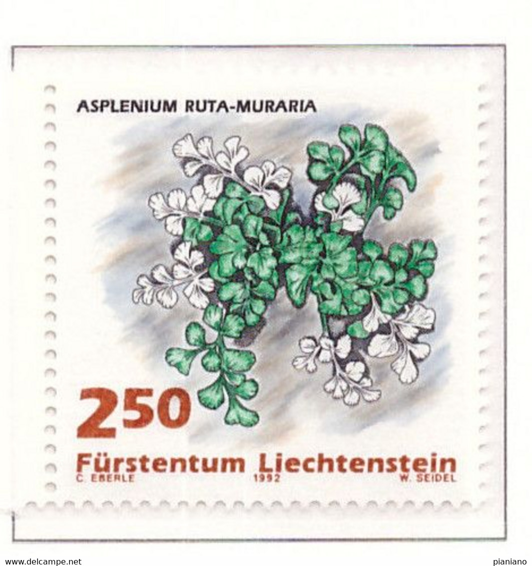 PIA - LIECHTENSTEIN  - 1992 : Flora - Felci -   (Yv  986-89) - Gemüse