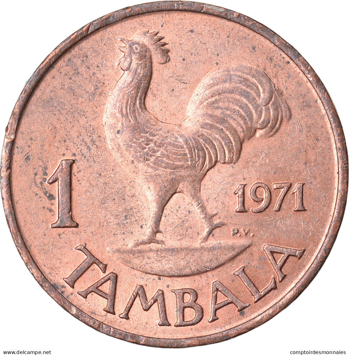 Monnaie, Malawi, Tambala, 1971, TTB, Bronze, KM:7.1 - Malawi