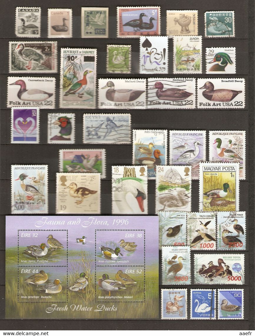 Monde - Canards, Oies, Cygnes - Petit Lot De 97 Timbres Dont 2 Blocs - 3 Scans - Vrac (max 999 Timbres)