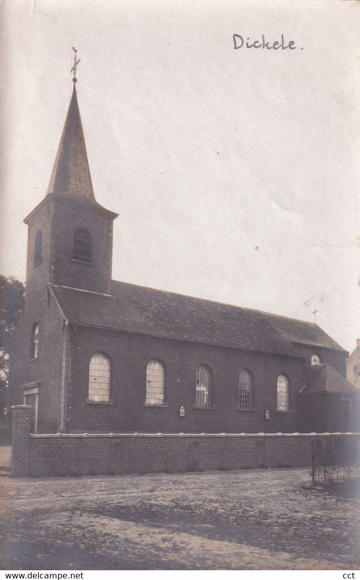 Dickele  Dikkele Zwalm      FOTO Van De Kerk - Zwalm