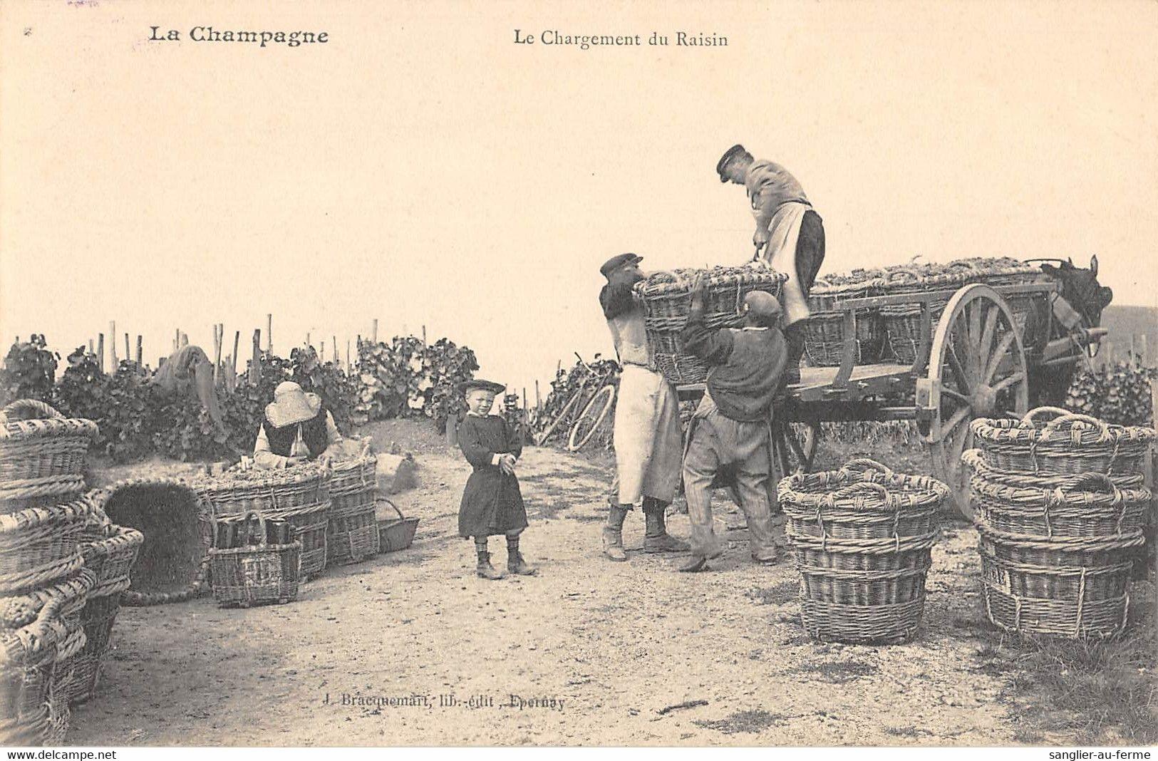 CPA 51 LA CHAMPAGNE LE CHARGEMENT DU RAISIN - Andere & Zonder Classificatie