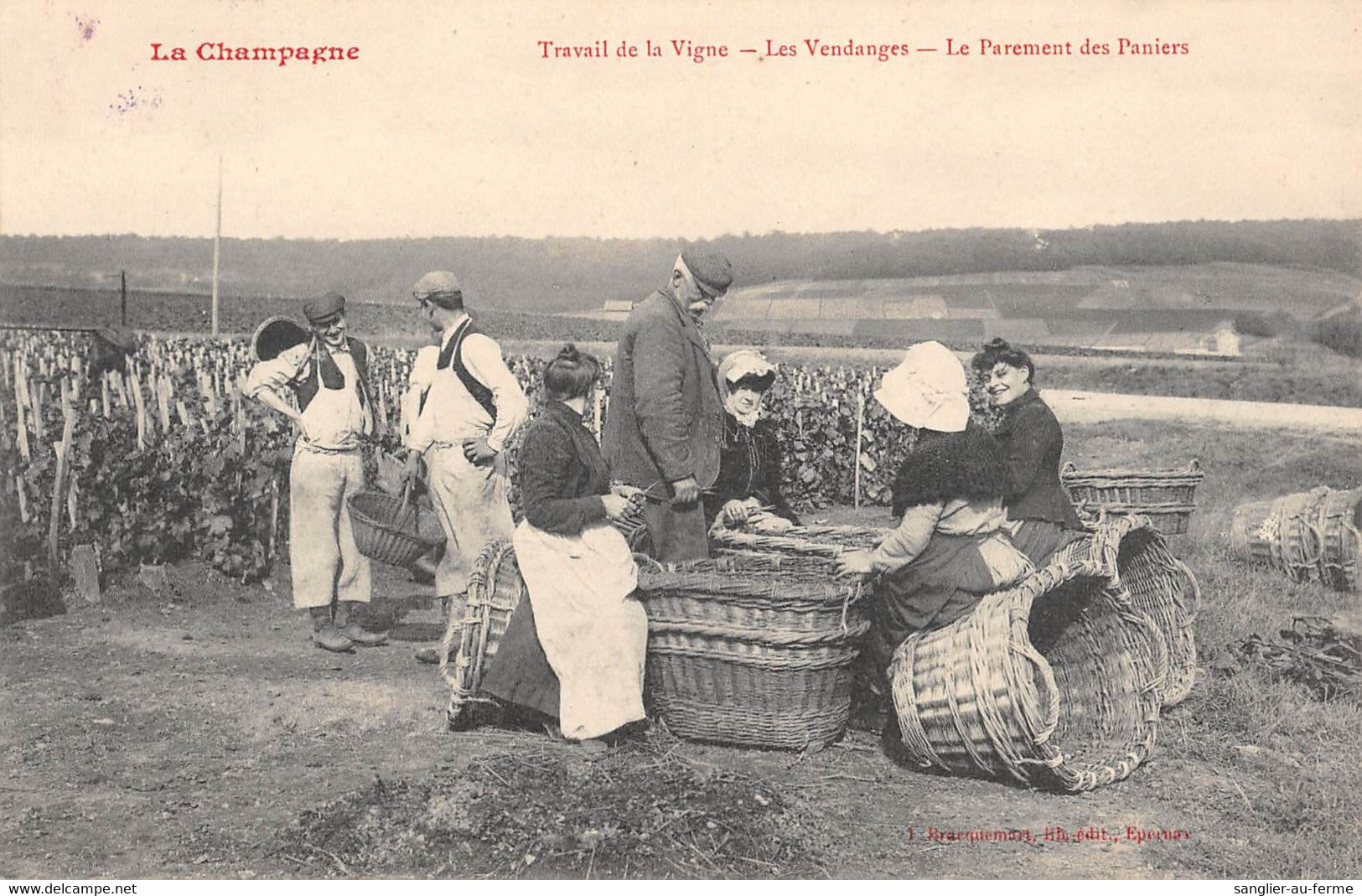 CPA 51 LA CHAMPAGNE TRAVAIL DE LA VIGNE LES VENDANGES LE PAREMENT DES PANIERS - Andere & Zonder Classificatie