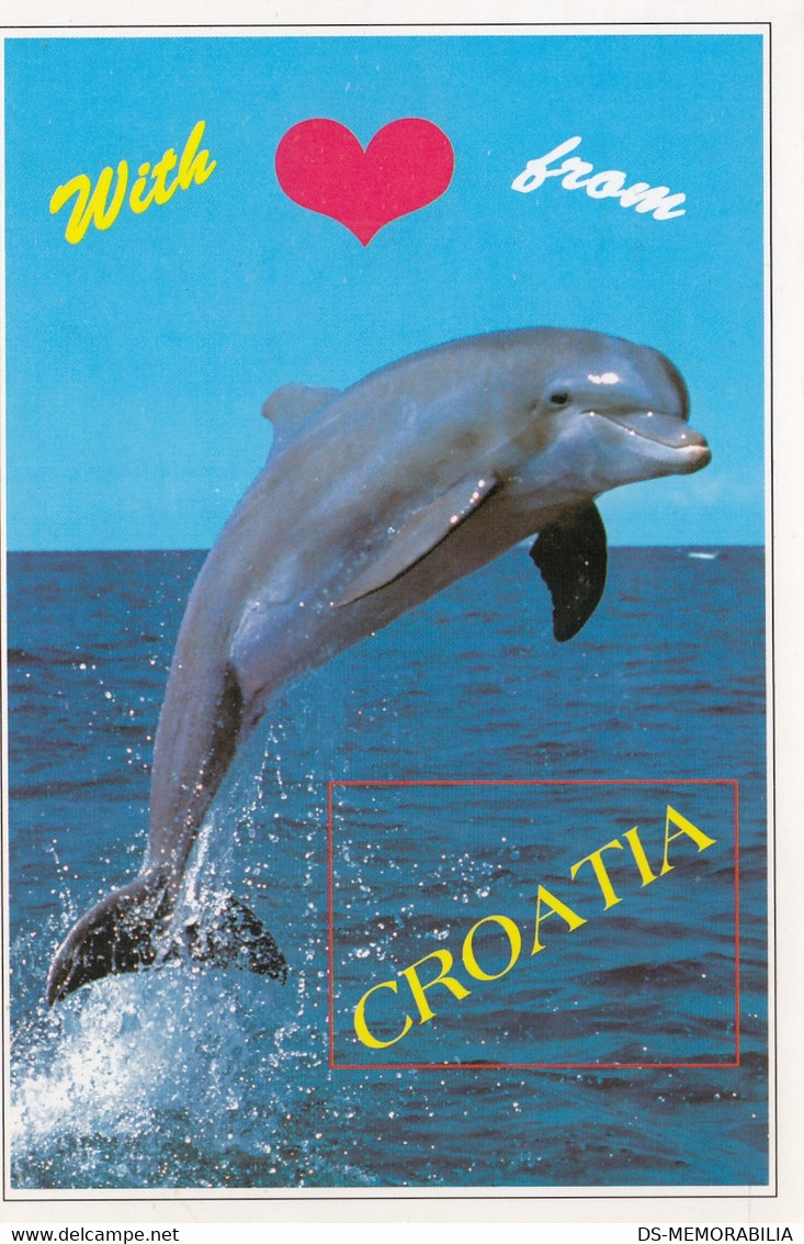 Dolphin Delfin Croatia Postcard - Dauphins