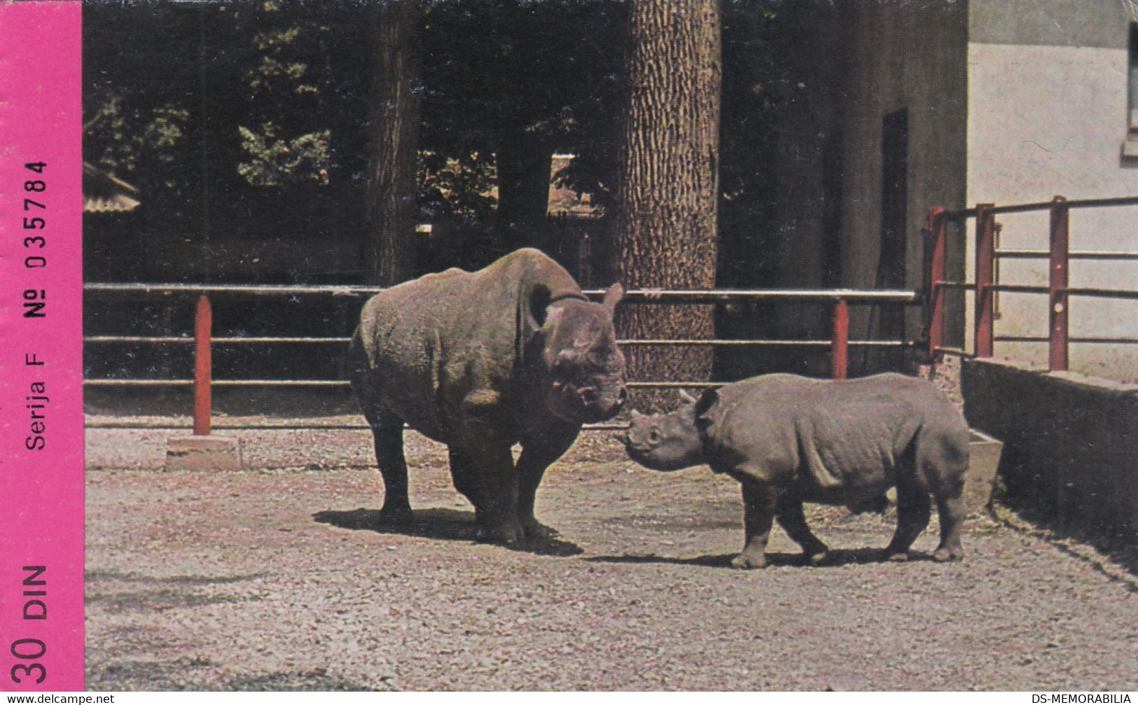 Rhonoceros Diceros Bicornis Zagreb Croatia Zoo Ticket Postcard - Rhinoceros