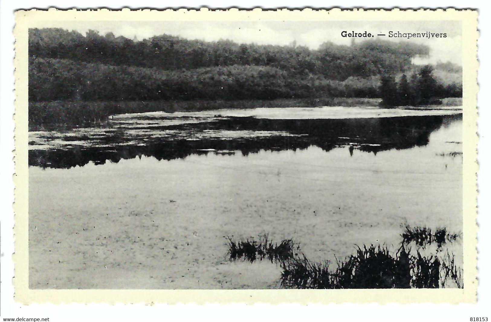 Gelrode - Schapenvijvers - Aarschot