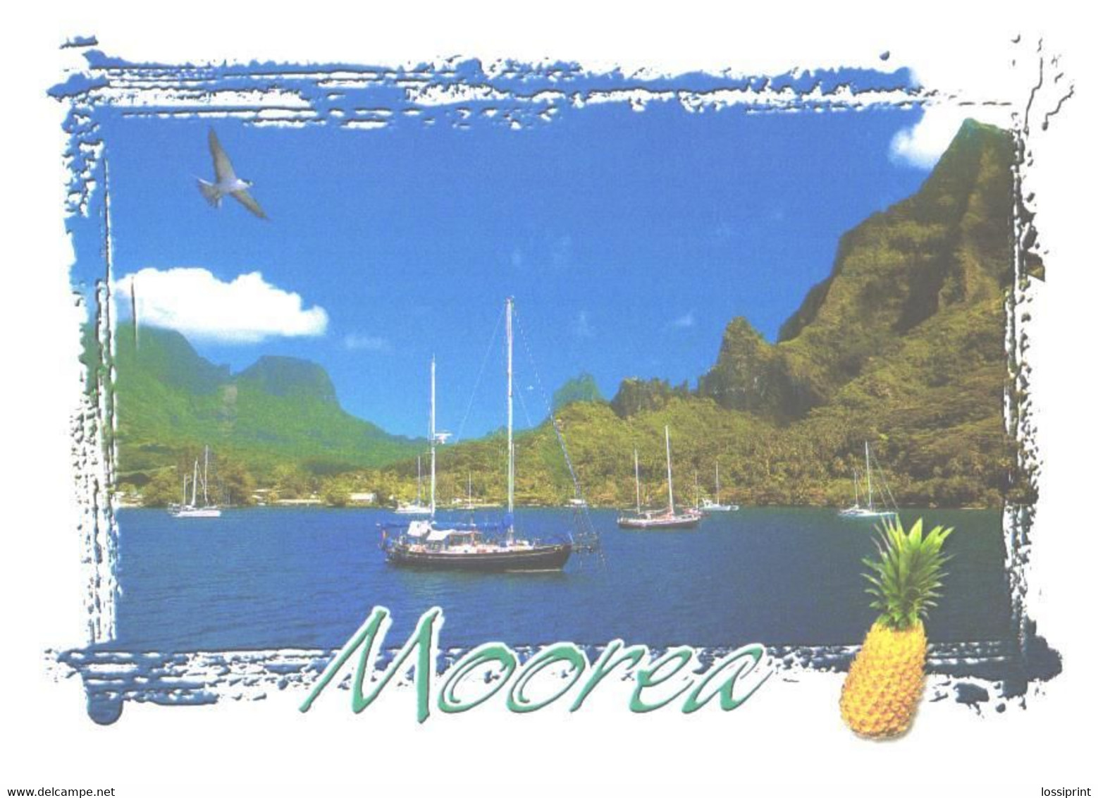 French Polynesia:Moorea Island - Polynésie Française