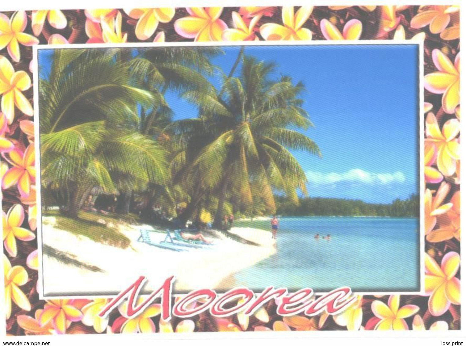 French Polynesia:Moorea Island, White Sand Beach Next To Les Tipaniers Hotel - Polynésie Française