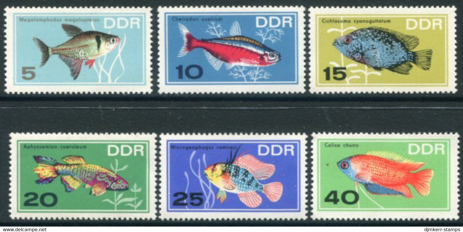 DDR / E. GERMANY 1966 Tropical Fish  MNH / **.  Michel  1221-26 - Nuevos