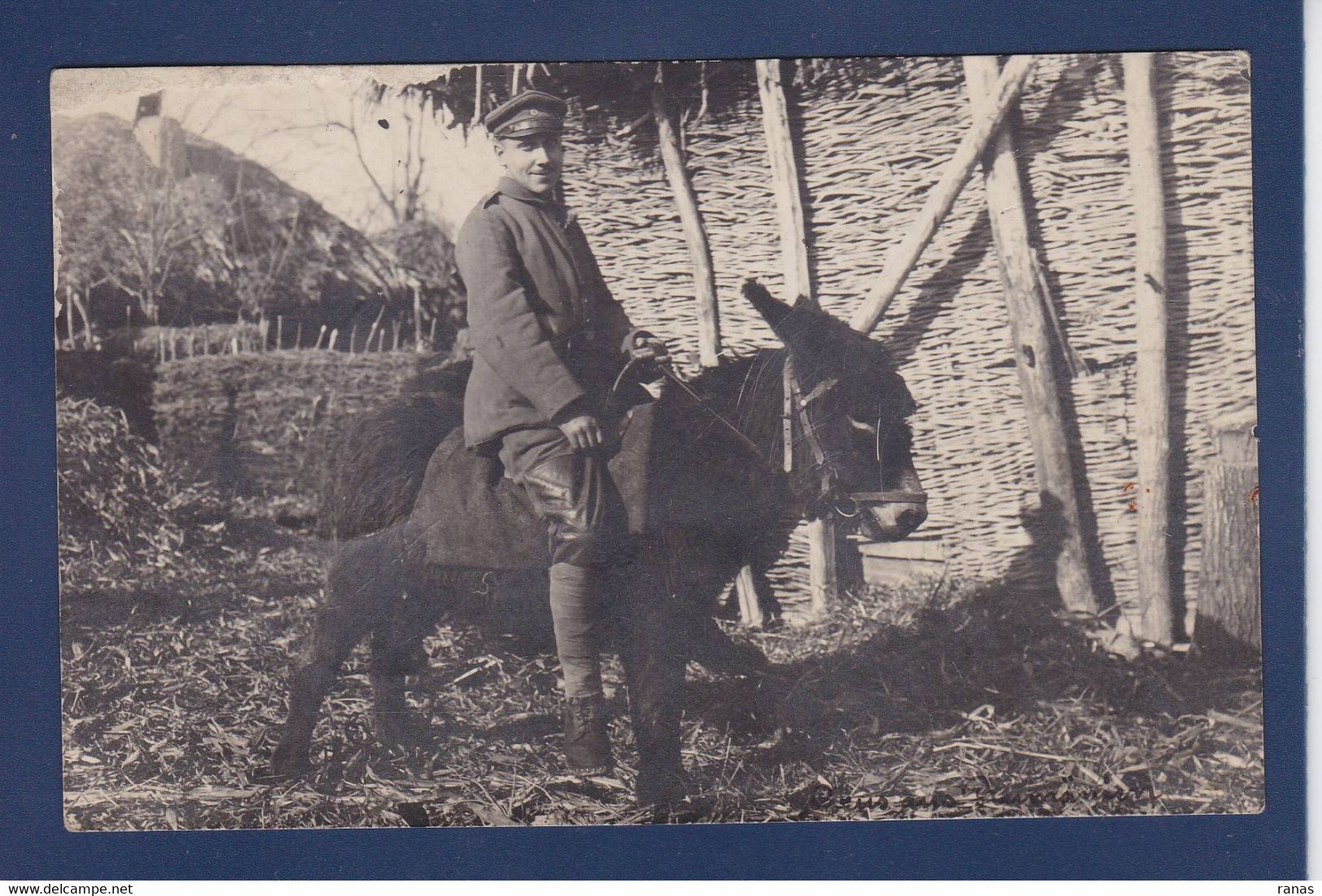 CPA Ane Donkey Voir Dos Cachet Marcophilie Militaria - Donkeys