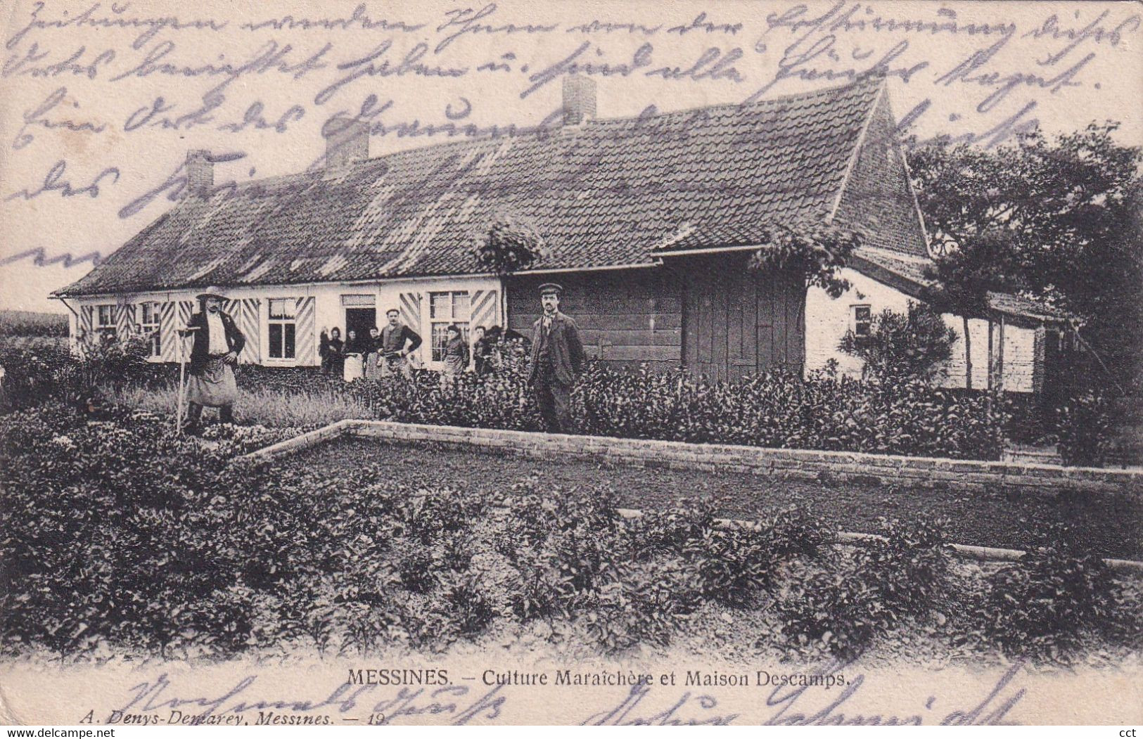 Messines Mesen    Culture Maraîchère Et Maison Descamps   Edit Denys-Demarey N° 19    FELDPOST - Messines - Mesen