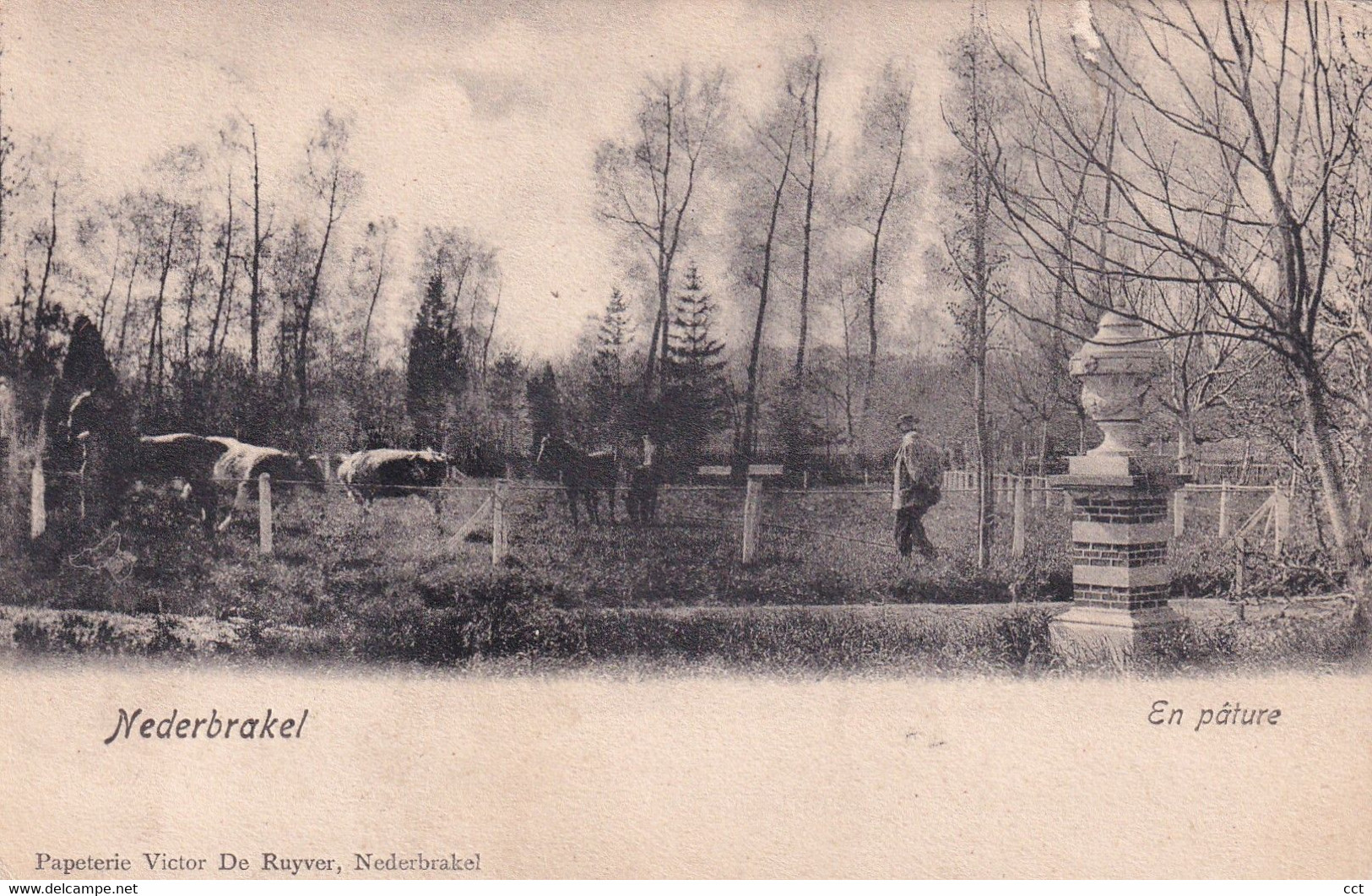 Nederbrakel  Brakel   En Pâture - Brakel