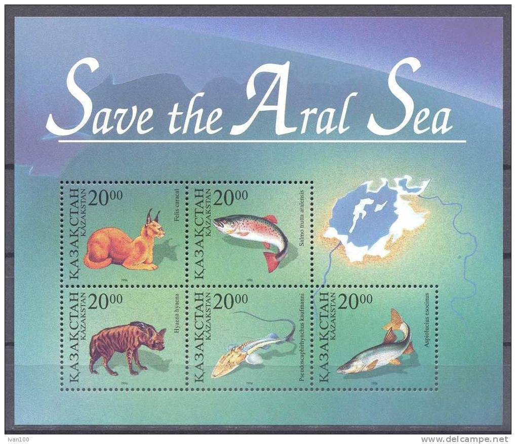1996. Kazakhstan, Save Of Aral See, S/s, Mint/** - Kasachstan