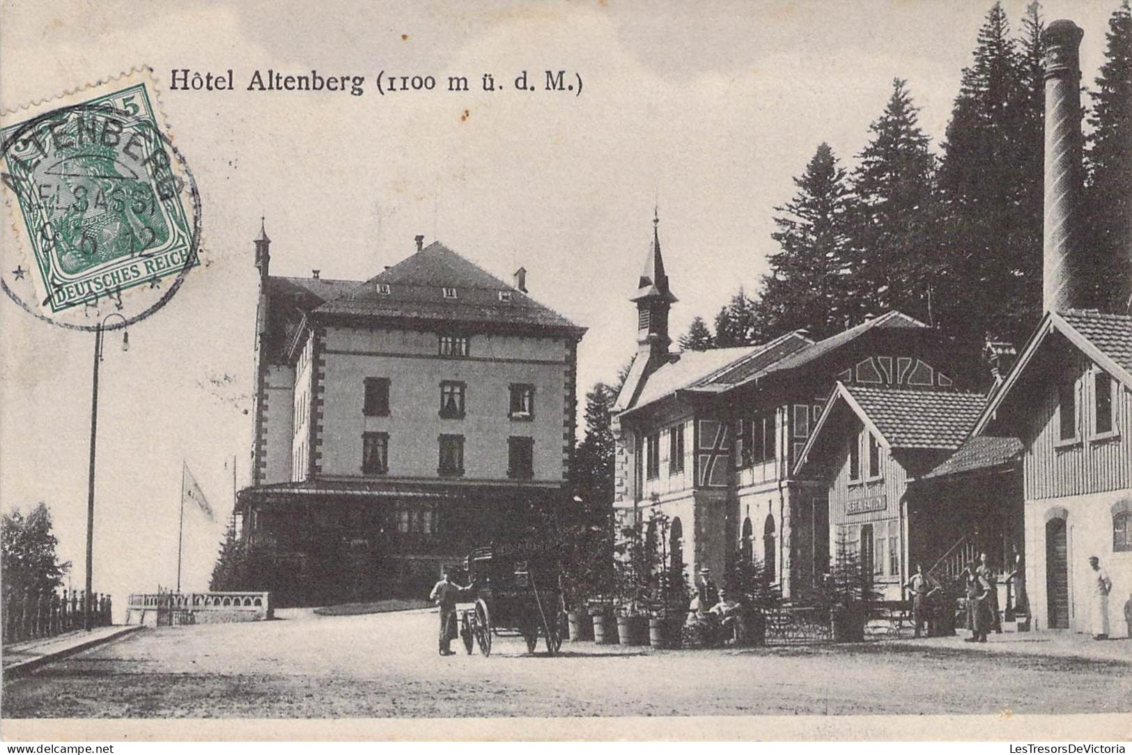 CPA SUISSE - Hôtel ALTENBERG - Berg