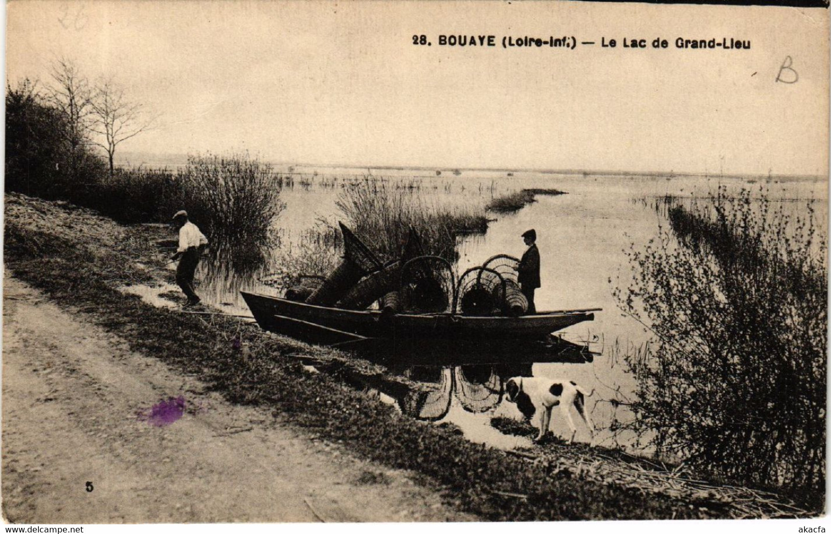 CPA BOUAYE - Le Lac De Grand-Lieu (587963) - Bouaye