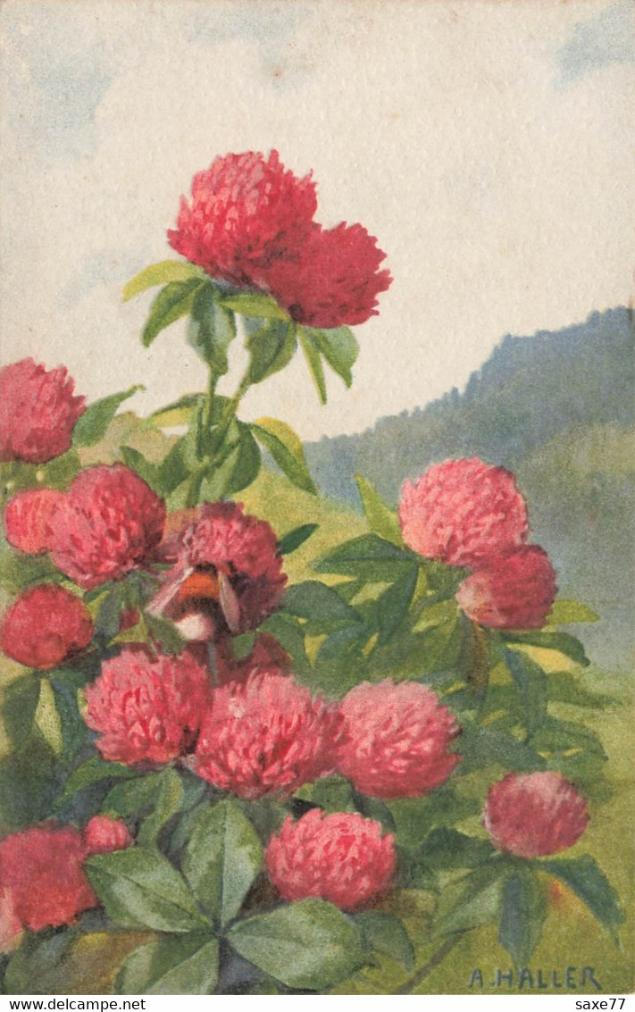 FANTAISIE - Fleurs De Treffles - Signé A .HALLER - Haller, A.