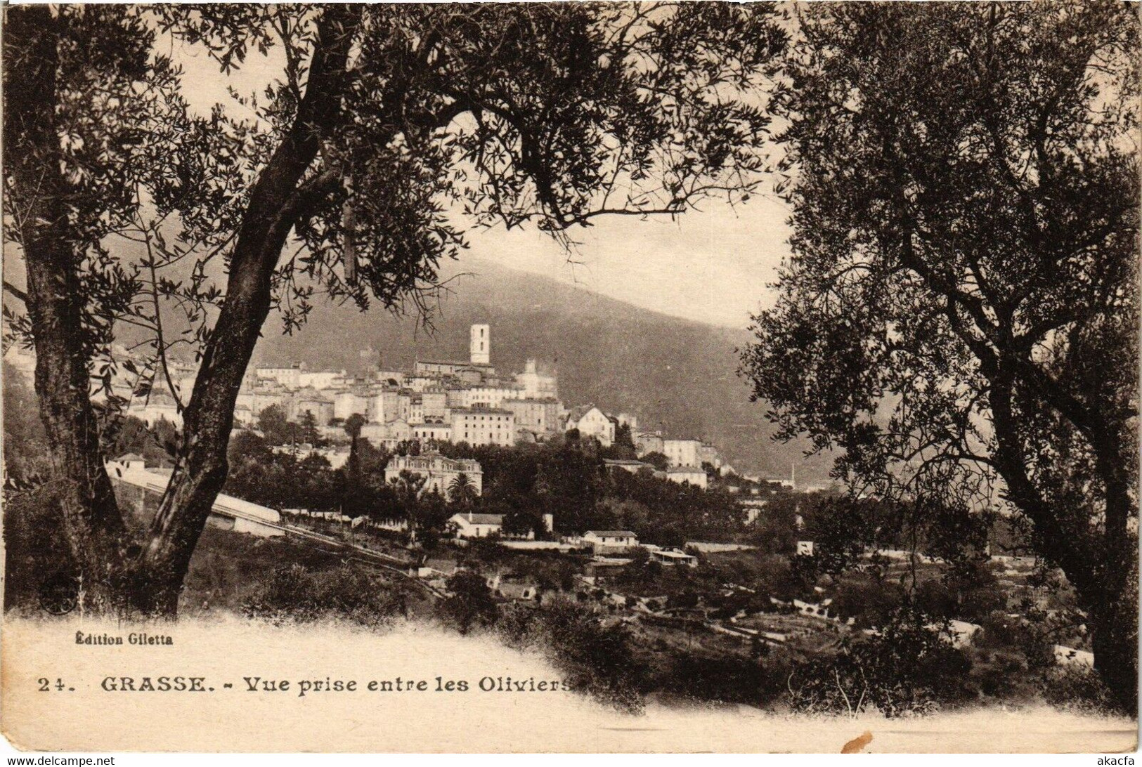 CPA GRASSE - Vue Prise Entre Les Olivier (192278) - Grasse